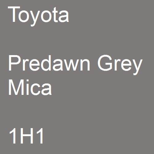 Toyota, Predawn Grey Mica, 1H1.